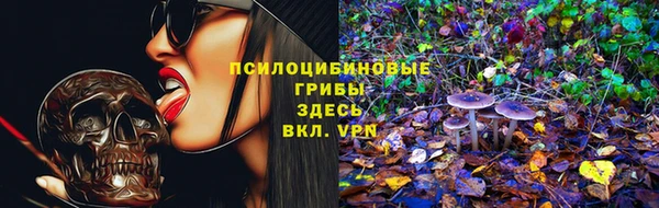 герыч Алзамай